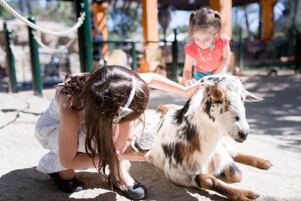 Kids at Zoo