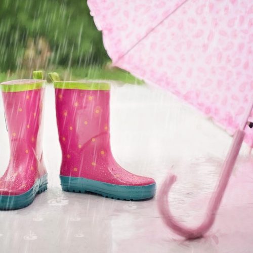 Wellington Boots