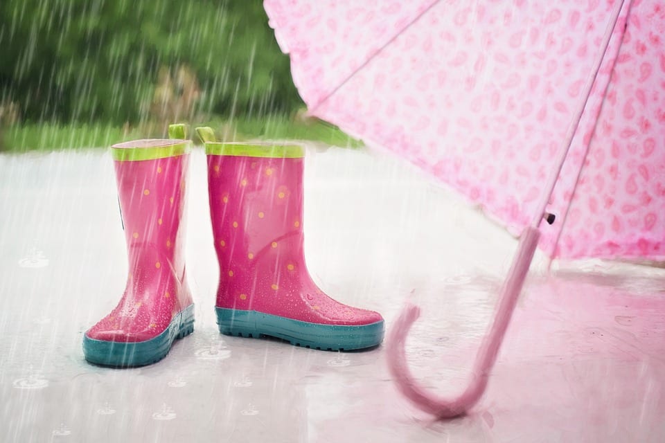 Wellington Boots