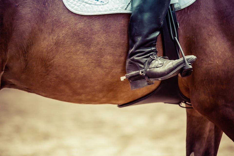 Royal Dublin Horse Show