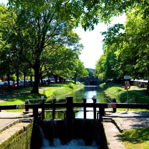 Tranquility In Dublin Near Davenport Hotel