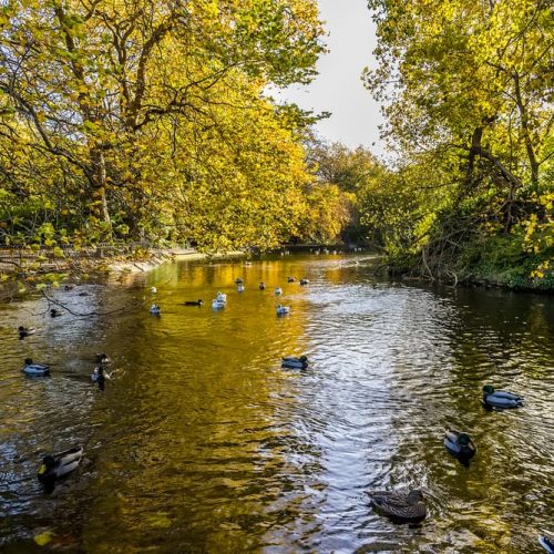 St Stephen's Green Park