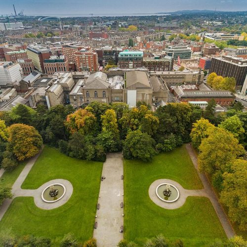 Iveagh Gardens aerial